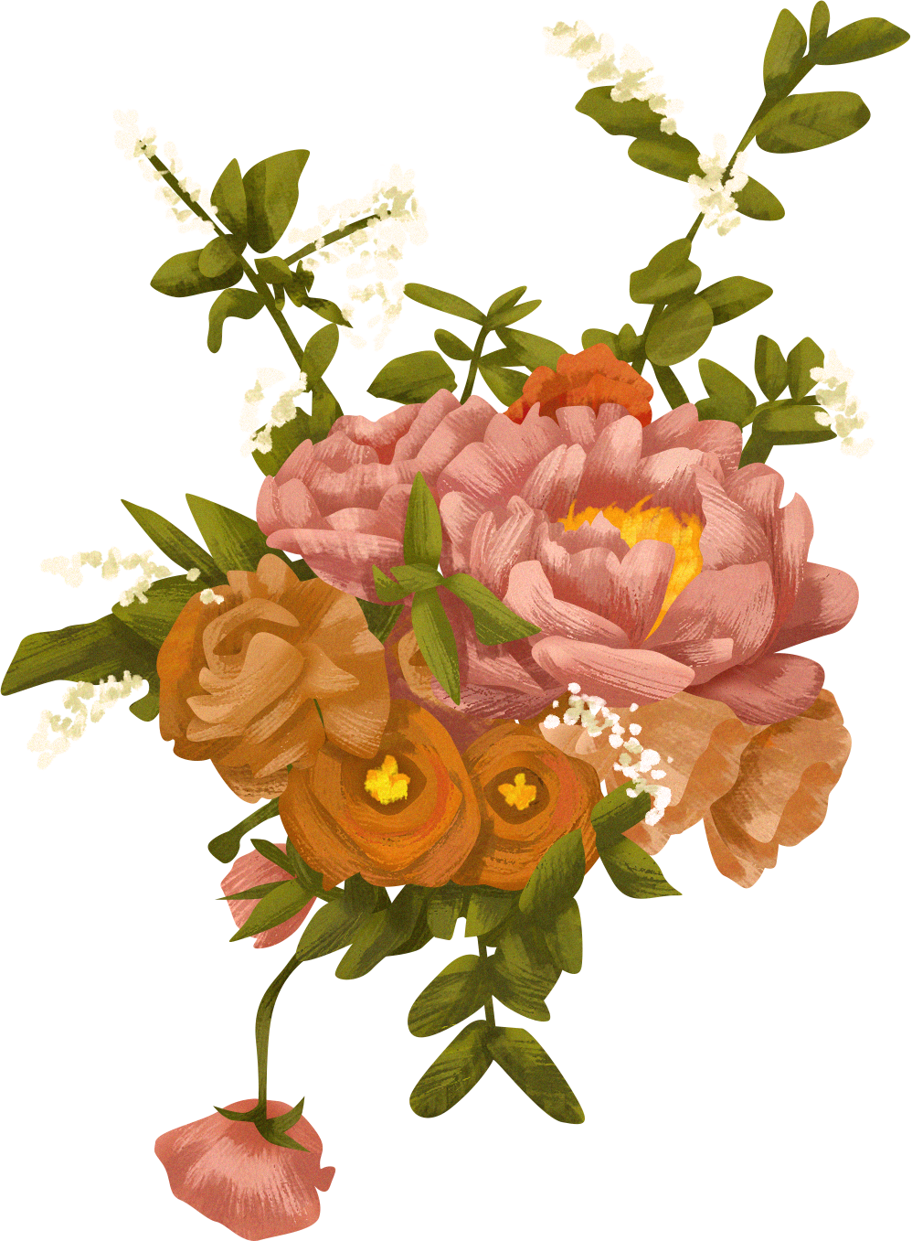 Detailed Illustrated Roses and Rue Flowers